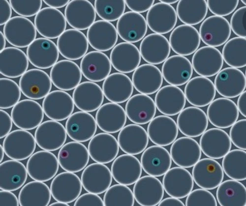 Cell analysis